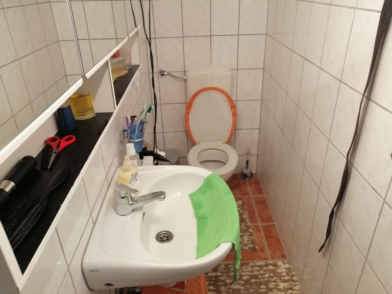 Lazarevac, Lazarevac, ,4 BathroomsBathrooms,Kuća,Prodaja,1170