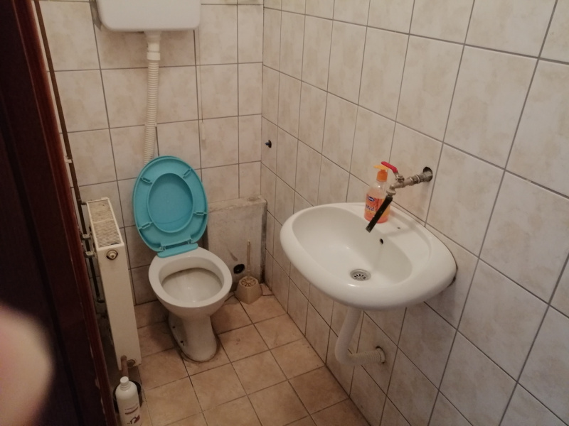 Lazarevac, Lazarevac, ,Lokal,Prodaja,1334