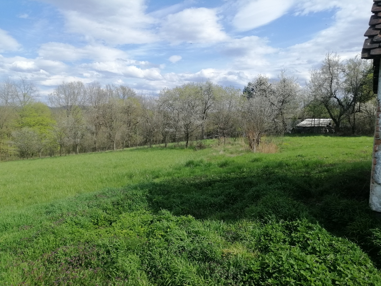 Brajkovac, Lazarevac, ,2 BathroomsBathrooms,Kuća,Prodaja,1377 Brajkovac, Lazarevac, ,2 BathroomsBathrooms,Kuća,Prodaja,1377
