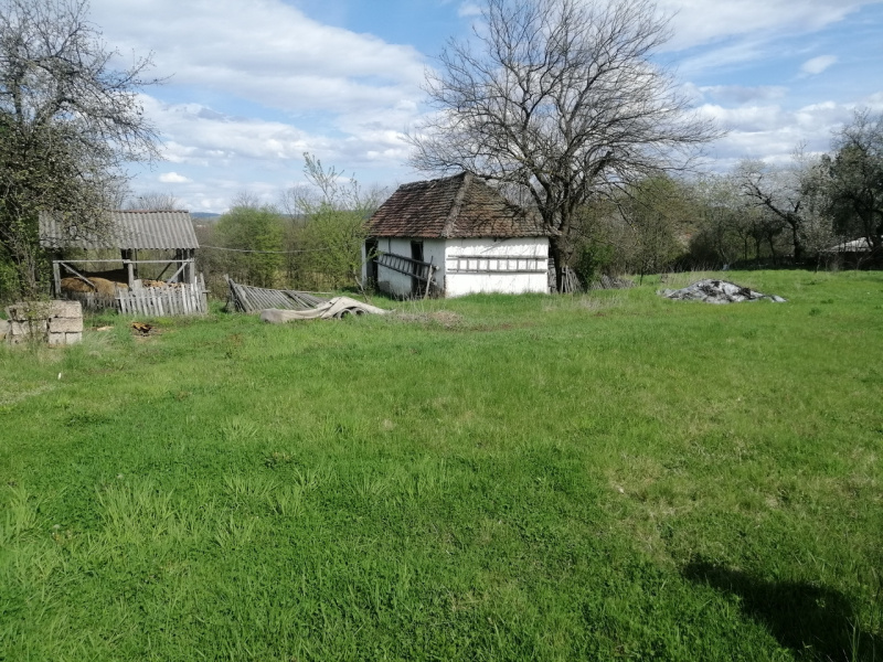 Brajkovac, Lazarevac, ,2 BathroomsBathrooms,Kuća,Prodaja,1377