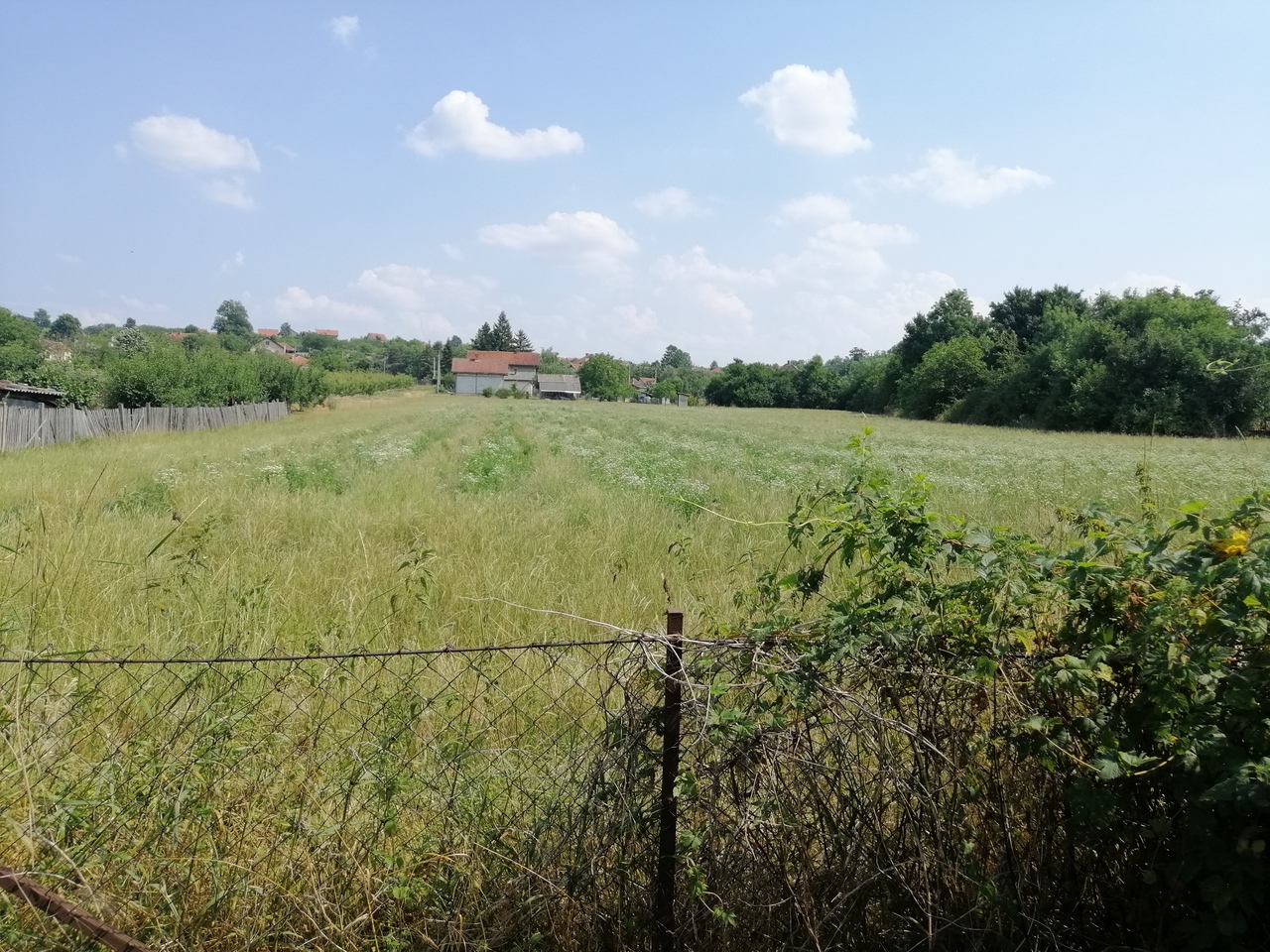 Petka, Lazarevac, ,Kuća,Prodaja,1409