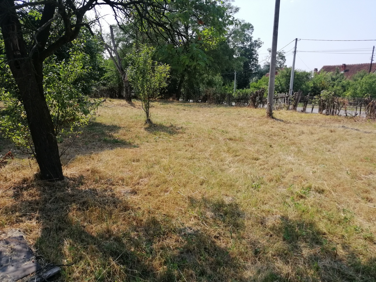 Petka, Lazarevac, ,Kuća,Prodaja,1409