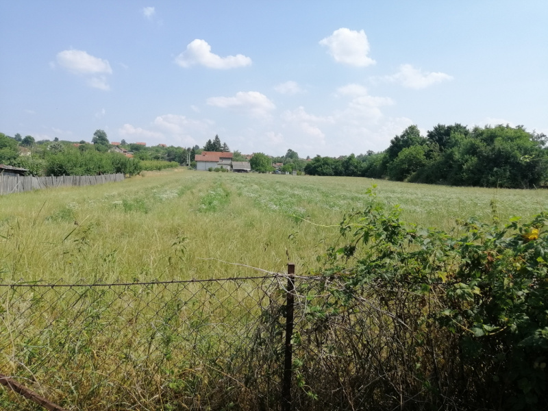 Petka, Lazarevac, ,Kuća,Prodaja,1409