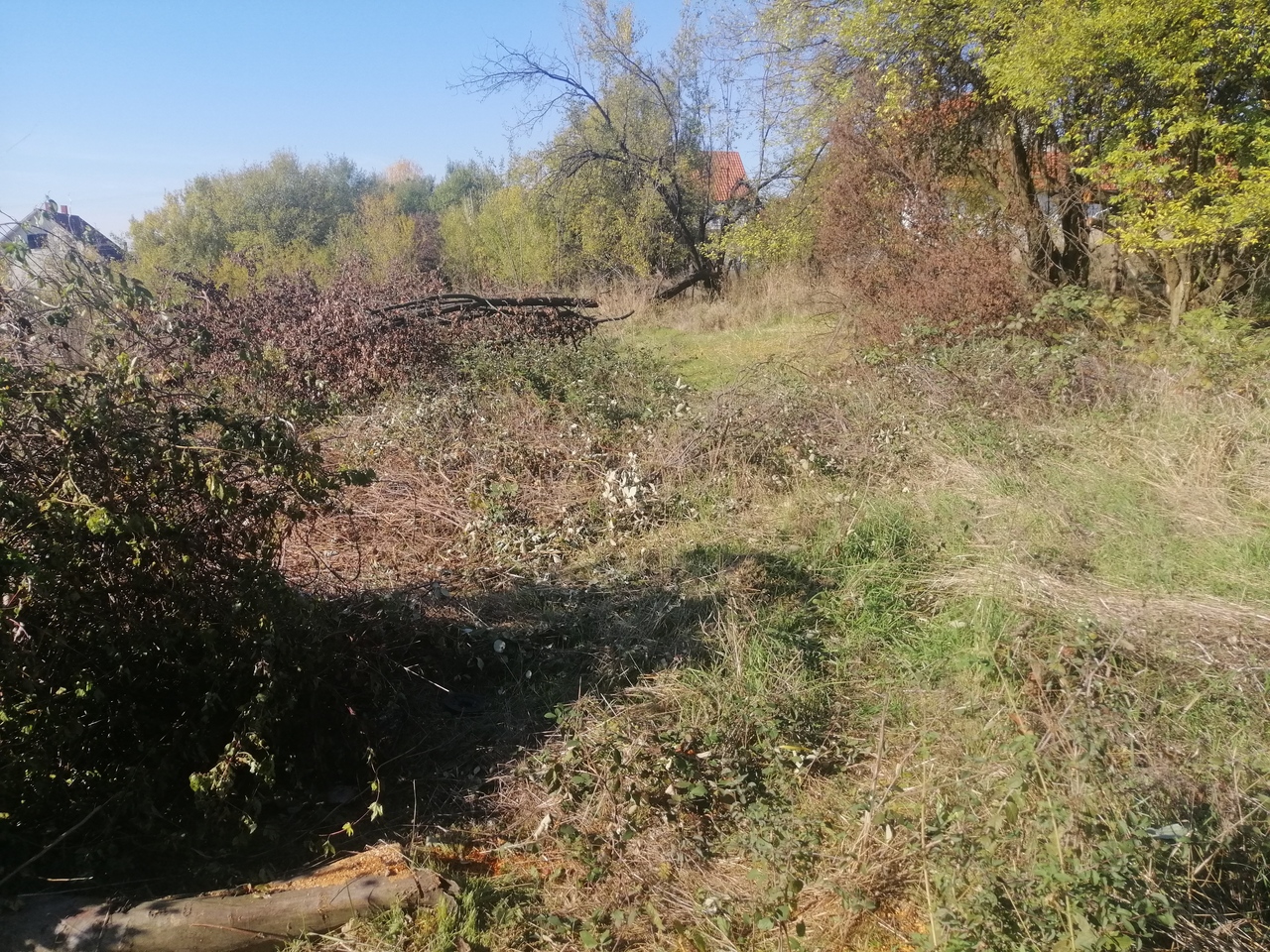 Lazarevac, Lazarevac, ,3 BathroomsBathrooms,Kuća,Prodaja,1443 Lazarevac, Lazarevac, ,3 BathroomsBathrooms,Kuća,Prodaja,1443