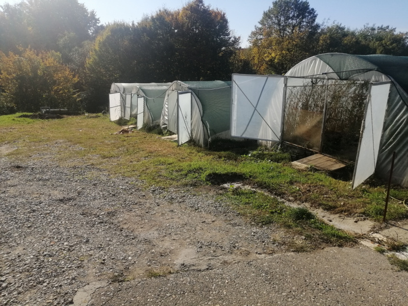 Lazarevac, Lazarevac, ,3 BathroomsBathrooms,Kuća,Prodaja,1443