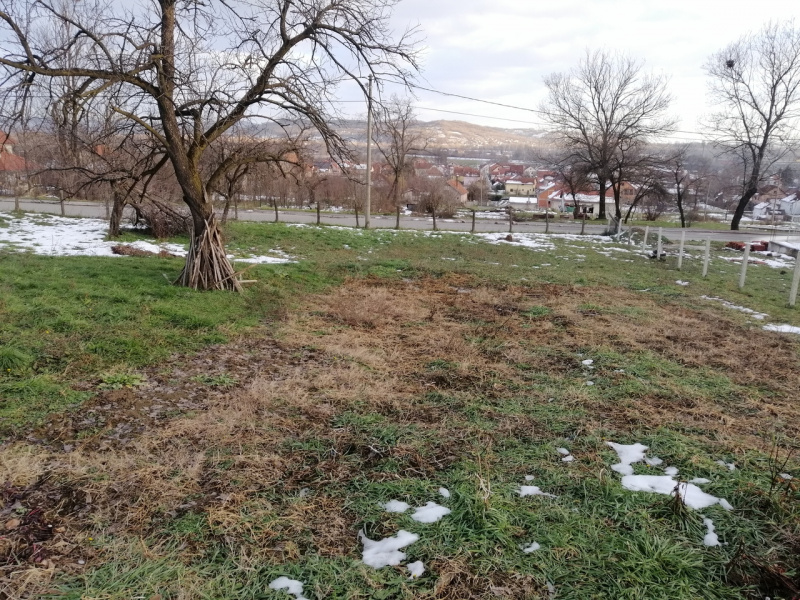 Lajkovac, ,Zemljište,Prodaja,1457