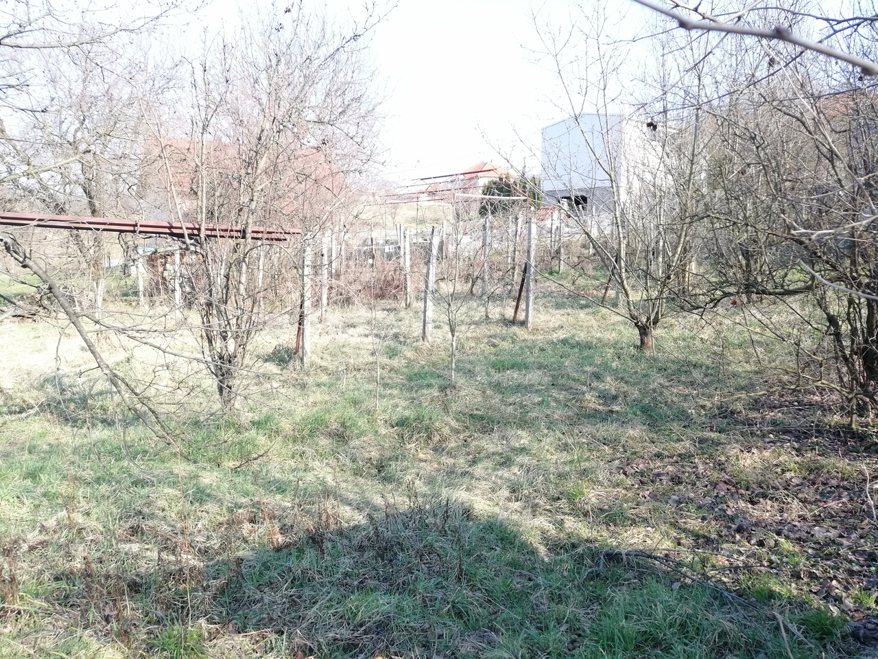 Šopić, Lazarevac, ,Zemljište,Prodaja,1471 Šopić, Lazarevac, ,Zemljište,Prodaja,1471