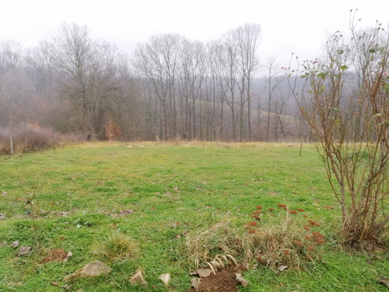 Arapovac, Lazarevac, ,2 BathroomsBathrooms,Kuća,Prodaja,1548 Arapovac, Lazarevac, ,2 BathroomsBathrooms,Kuća,Prodaja,1548