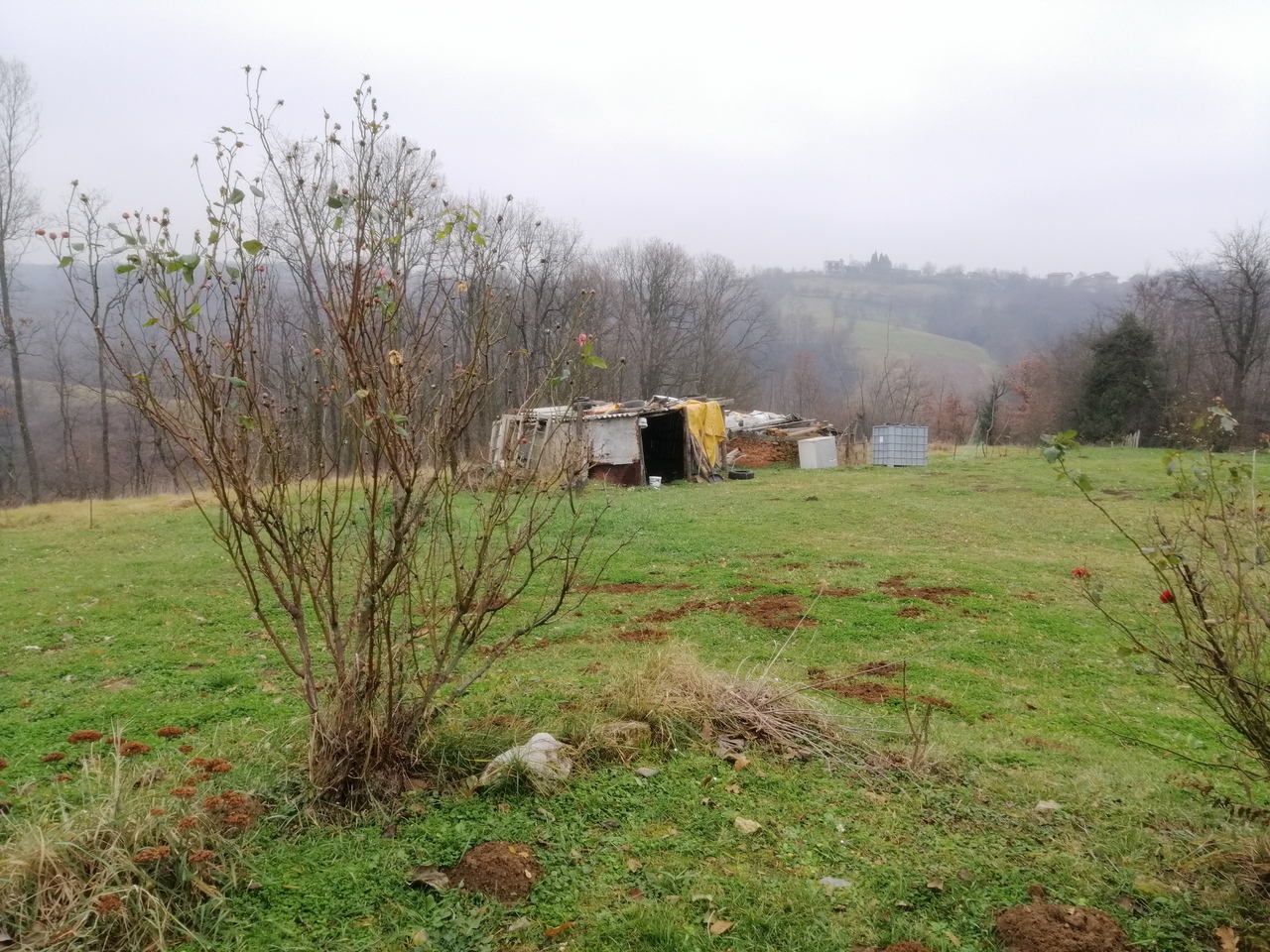 Arapovac, Lazarevac, ,2 BathroomsBathrooms,Kuća,Prodaja,1548 Arapovac, Lazarevac, ,2 BathroomsBathrooms,Kuća,Prodaja,1548