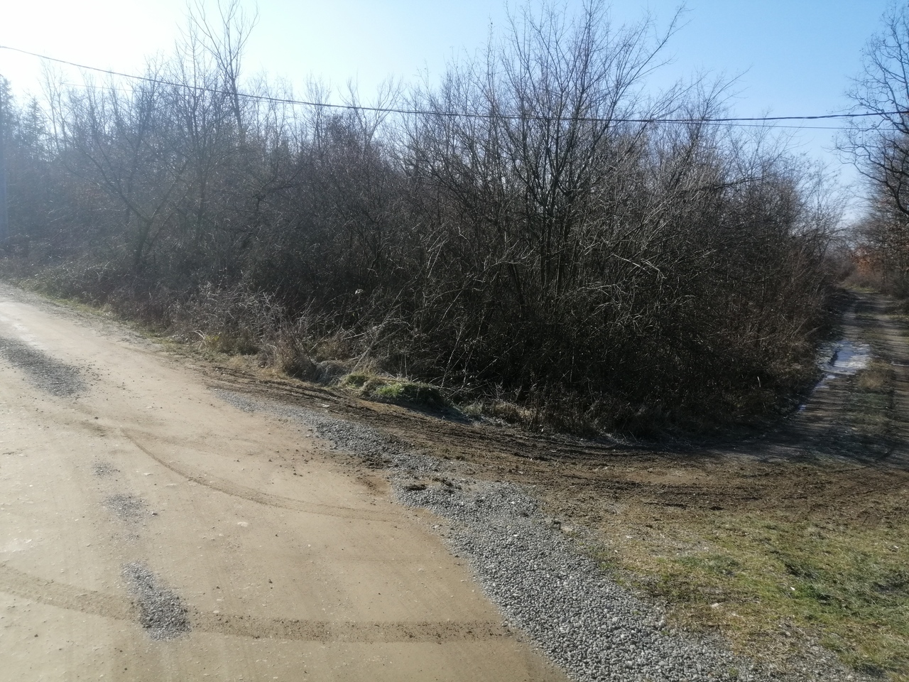 Vrbovno, Lazarevac, ,Zemljište,Prodaja,1553