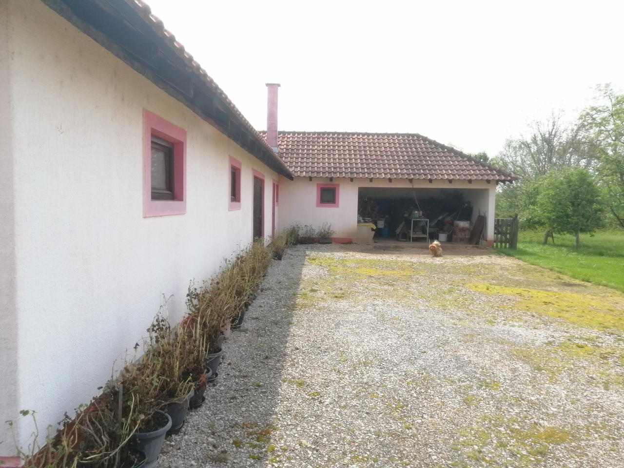 Dudovica, Lazarevac, 0 ,1 KupatiloBathrooms,Kuća,Prodaja,0,1564