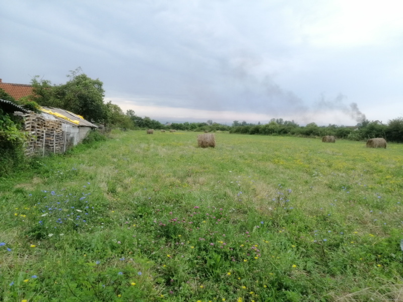 Stepojevac, Lazarevac, ,Zemljište,Prodaja,1593