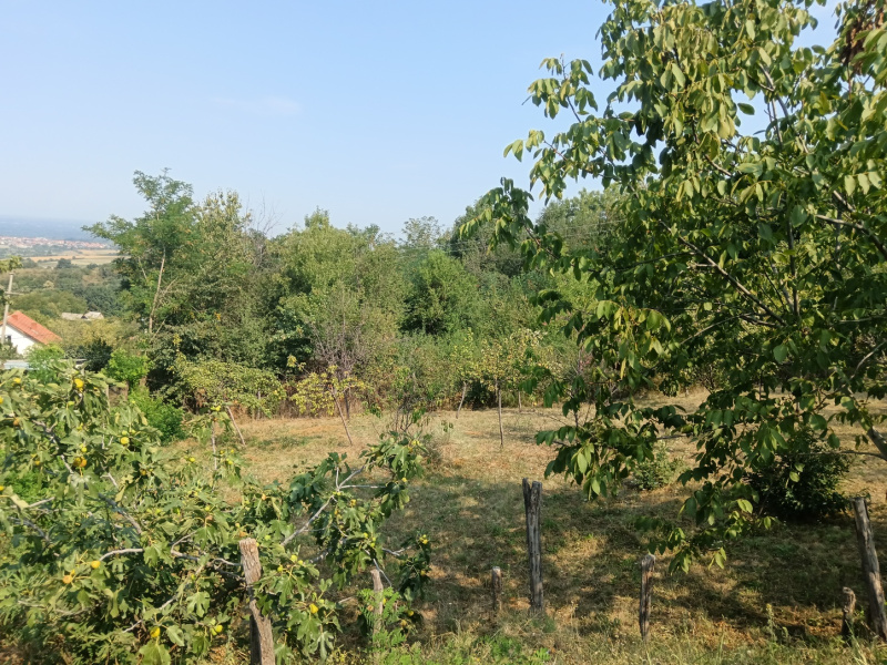 Dren, Lazarevac, ,1 KupatiloBathrooms,Kuća,Prodaja,1657