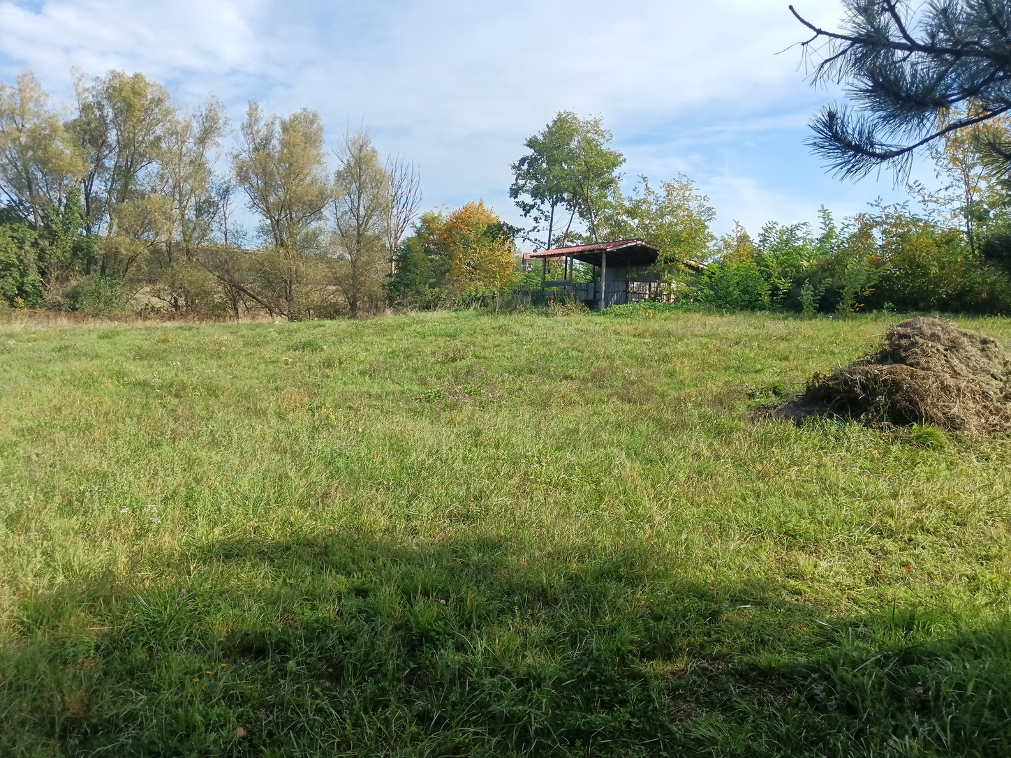 Trbušnica, Lazarevac, 0 ,1 KupatiloBathrooms,Kuća,Prodaja,0,1715