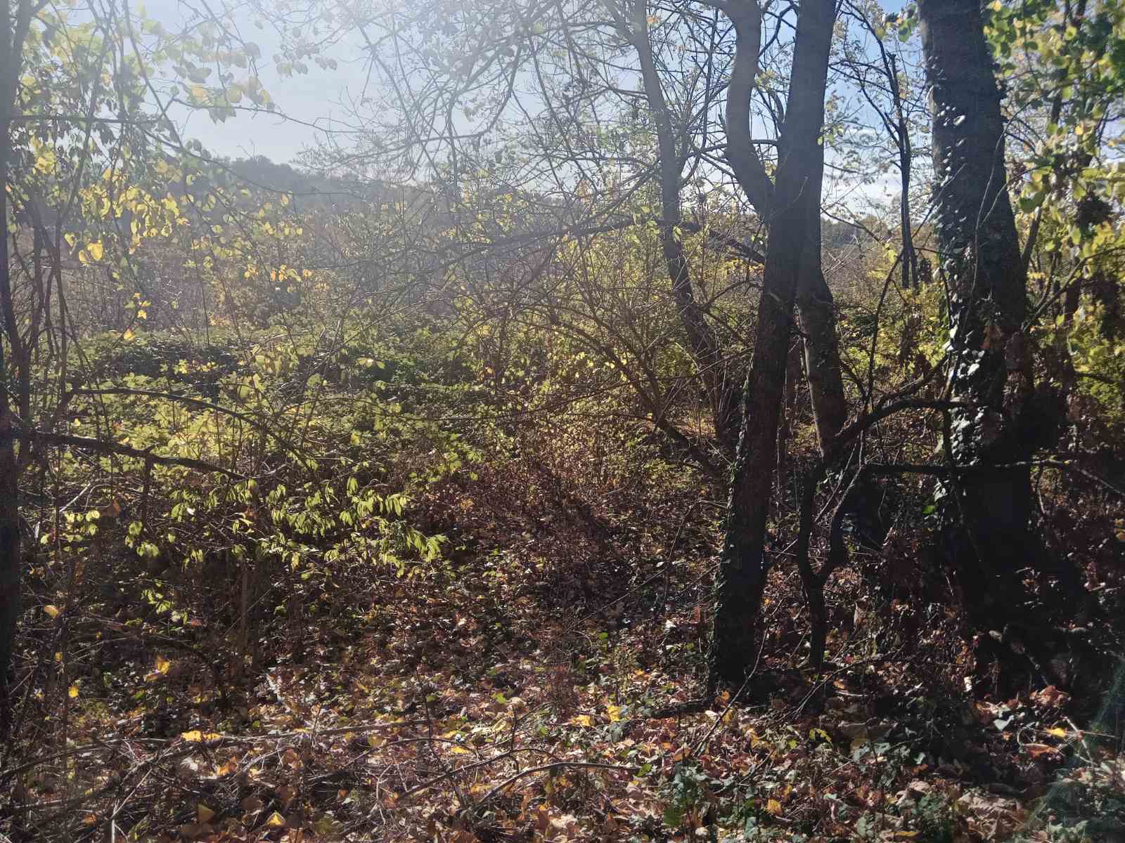 Ljig, 0 ,Zemljište,Prodaja,0,1716