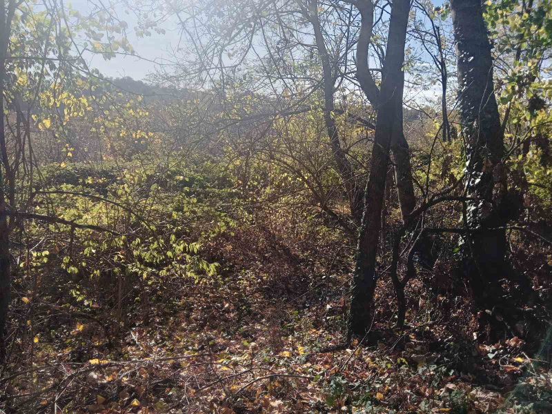 Ljig, 0 ,Zemljište,Prodaja,0,1716