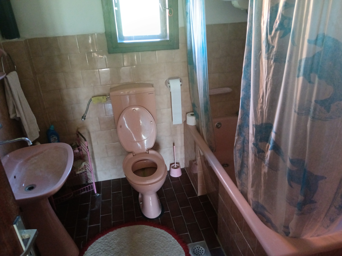 Lajkovac, 0 ,2 BathroomsBathrooms,Kuća,Prodaja,0,1728