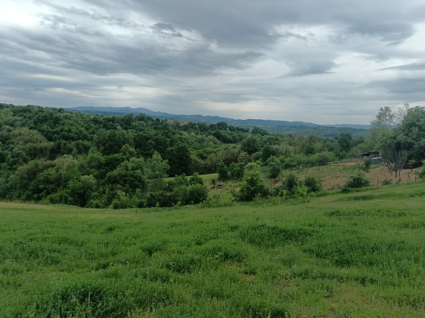 Barzilovica, Lazarevac, 0 ,Kuća,Prodaja,0,1729