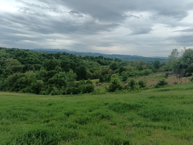 Barzilovica, Lazarevac, 0 ,Kuća,Prodaja,0,1729
