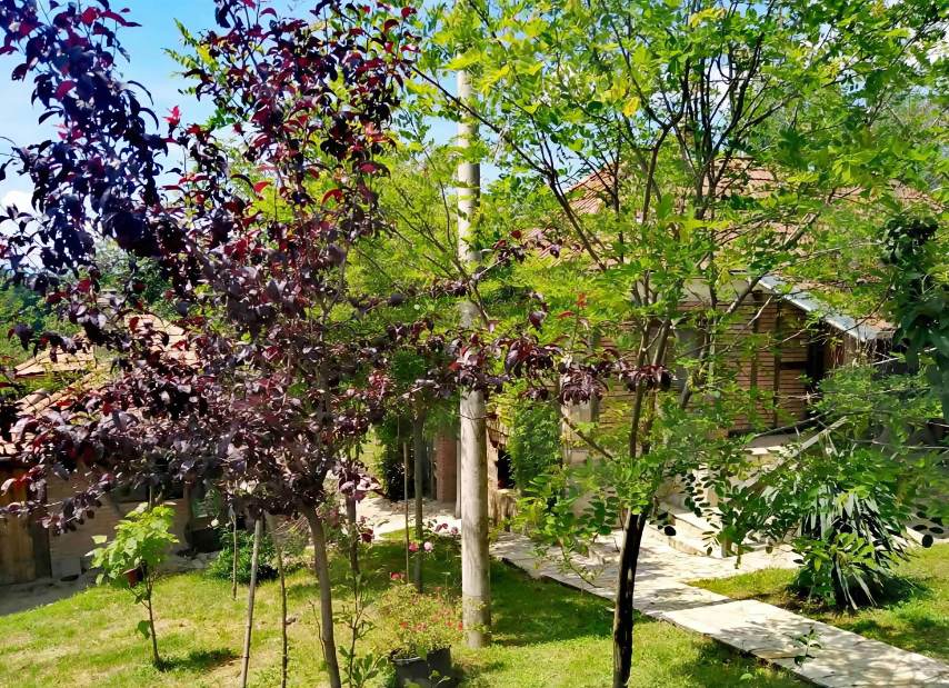 Brajkovac, Lazarevac, 0 ,2 BathroomsBathrooms,Kuća,TOP PONUDA,0,1730 Brajkovac, Lazarevac, 0 ,2 BathroomsBathrooms,Kuća,TOP PONUDA,0,1730