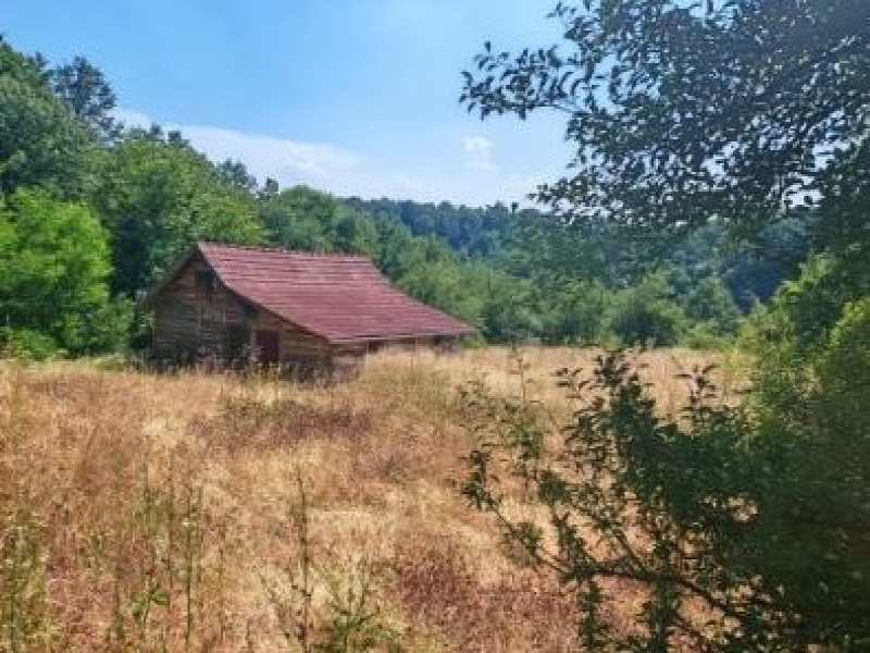 Brajkovac, Lazarevac, 0 ,2 BathroomsBathrooms,Kuća,TOP PONUDA,0,1730