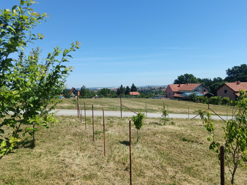 Šušnjar, Lazarevac, 0 ,Zemljište,Prodaja,0,1731